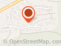 MT services