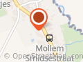 Wolidee/ Stitch Mollem