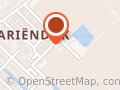 Kwekerij de Palmentuin Cv