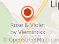 Vleminckx - Rose & Violet