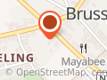 Brussegem Saffraan  (Brusselse Saffraanvelden)