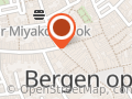 Florence Luxe Schoenen