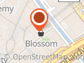 Blossom bloemisterij