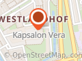 Opleiding Iokai Shiatsu
