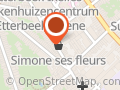 Simone ses Fleurs