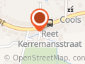 Kerstbomen Vertommen - Reet