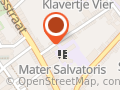 Mater Salvatorisinstituut