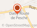 Daillyti