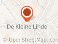 Kleine Linde