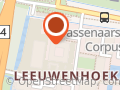 De Leidsche Flesch
