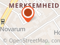 Epplejeck Horse & Rider Merksem
