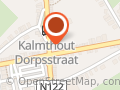 Cats & Dogs (Kalmthout)