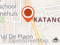 Telematic Consultants Group