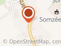 Proxy Somzee II