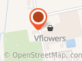 V-Flowers