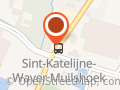Rodito Groenten