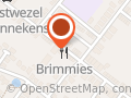 Brimmies