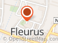 Fleurus Service Population