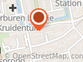 L. de Snoo acupuncturiste