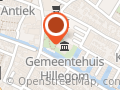 Bloeiend Hillegom
