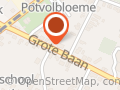 Ginkgo Biloba Haacht Grote Baan