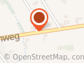 De Groentint