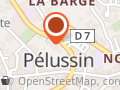 Distributeur pizzas artisanales Pélussin - Pizzaliz