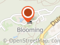 Blooming