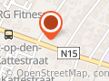 Dr Senne Gorris NKO-arts