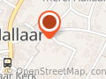 Kine Hallaar