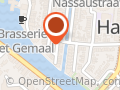Amsterdamse Leeuw Coaching