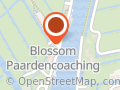 Blossom Paardencoaching