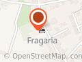 Fragaria