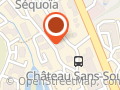 Les Drones Lyonnais