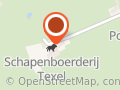 Schapenboerderij Texel - Lammetjes knuffelen