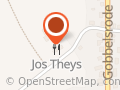 Theys, Tom
