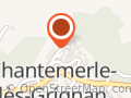 Le merle blanc