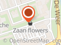 Zaan Flowers