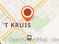 De Ontluikende Vlinder