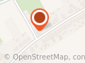 Dogs & dreams