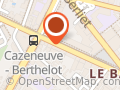 Action Lyon Berthelot
