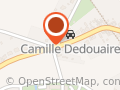 Camille Dedouaire