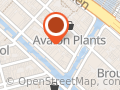 Moonbird Amsterdam