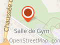 Hall Sportif Institut de la Providence Champion