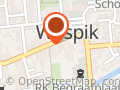 Dolfijn Leven