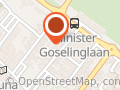 Artsenpr. natuurgeneeskunde en algemene geneesk. P. Sprangers