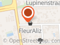 FleurAliz