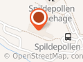Spildepollen skule