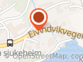 Gulen Skyssbåtservice AS
