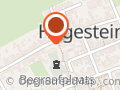 Boomstam enzo